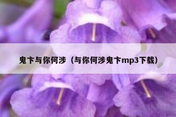鬼卞与你何涉（与你何涉鬼卞mp3下载）