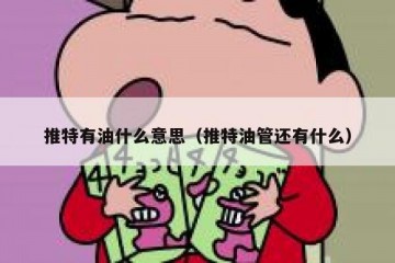 推特有油什么意思（推特油管还有什么）