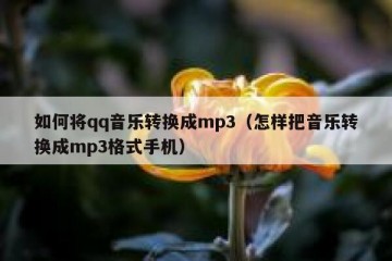 如何将qq音乐转换成mp3（怎样把音乐转换成mp3格式手机）