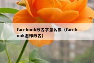 facebook改名字怎么换（facebook怎样改名）