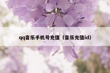 qq音乐手机号充值（音乐充值id）
