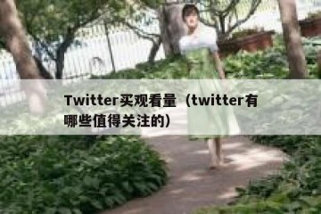 Twitter买观看量（twitter有哪些值得关注的）
