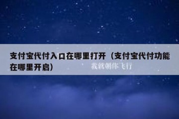 支付宝代付入口在哪里打开（支付宝代付功能在哪里开启）