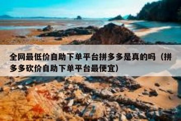 全网最低价自助下单平台拼多多是真的吗（拼多多砍价自助下单平台最便宜）