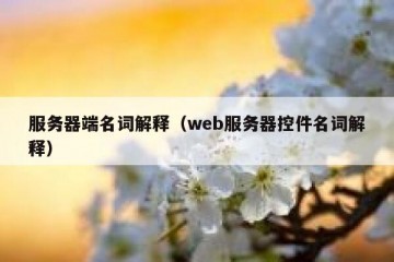 服务器端名词解释（web服务器控件名词解释）