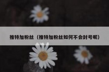 推特加粉丝（推特加粉丝如何不会封号呢）