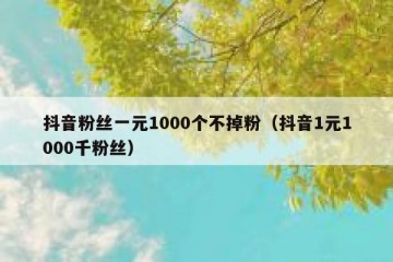抖音粉丝一元1000个不掉粉（抖音1元1000千粉丝）