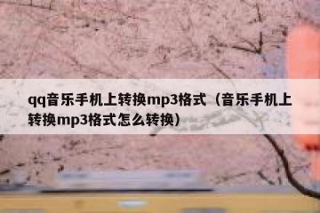 qq音乐手机上转换mp3格式（音乐手机上转换mp3格式怎么转换）