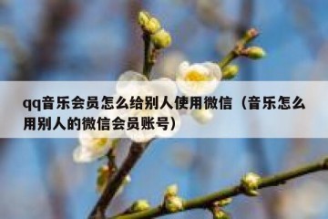 qq音乐会员怎么给别人使用微信（音乐怎么用别人的微信会员账号）