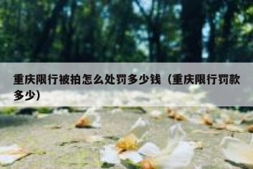重庆限行被拍怎么处罚多少钱（重庆限行罚款多少）