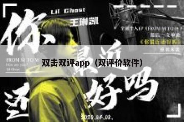 双击双评app（双评价软件）