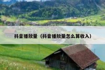 抖音播放量（抖音播放量怎么算收入）
