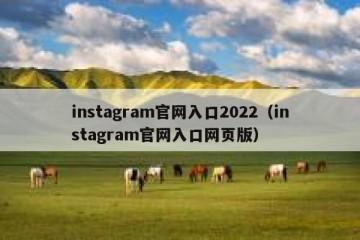 instagram官网入口2022（instagram官网入口网页版）