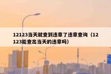 12123当天就查到违章了违章查询（12123能查出当天的违章吗）