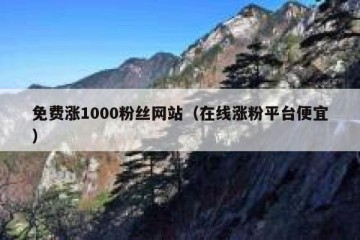 免费涨1000粉丝网站（在线涨粉平台便宜）