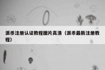 派币注册认证教程图片高清（派币最新注册教程）