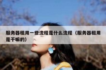 服务器租用一些流程是什么流程（服务器租用是干嘛的）