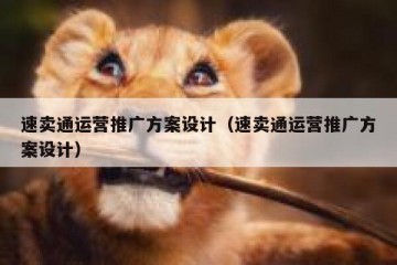 速卖通运营推广方案设计（速卖通运营推广方案设计）
