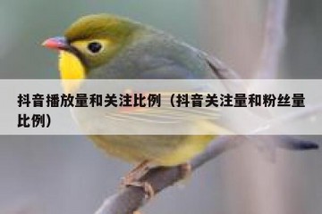 抖音播放量和关注比例（抖音关注量和粉丝量比例）