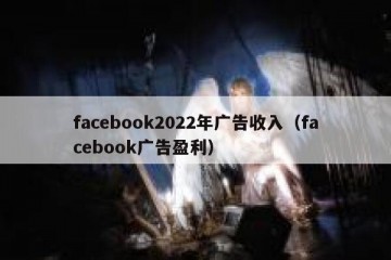 facebook2022年广告收入（facebook广告盈利）