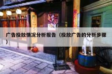 广告投放情况分析报告（投放广告的分析步骤）