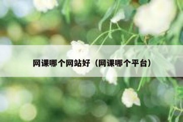 网课哪个网站好（网课哪个平台）