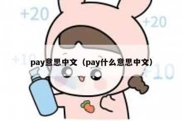 pay意思中文（pay什么意思中文）