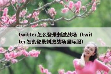 twitter怎么登录刺激战场（twitter怎么登录刺激战场国际服）