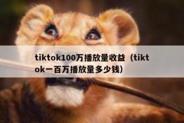 tiktok100万播放量收益（tiktok一百万播放量多少钱）