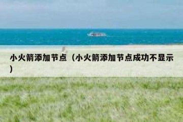 小火箭添加节点（小火箭添加节点成功不显示）