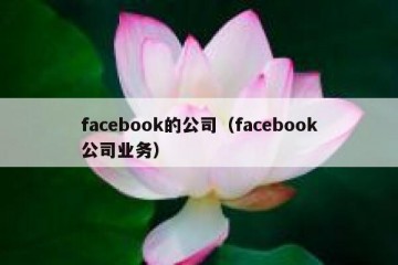 facebook的公司（facebook公司业务）