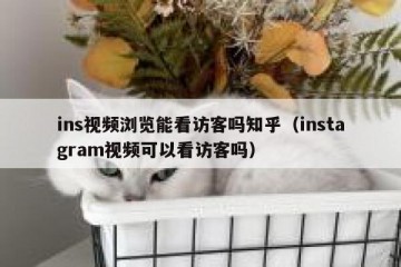 ins视频浏览能看访客吗知乎（instagram视频可以看访客吗）