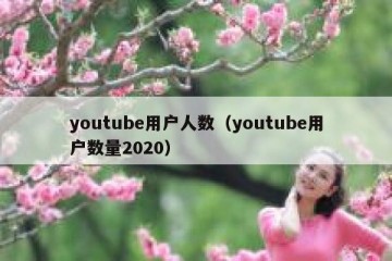 youtube用户人数（youtube用户数量2020）