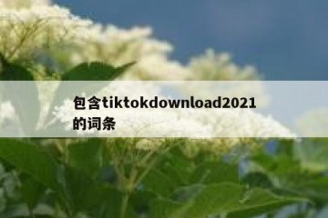 包含tiktokdownload2021的词条