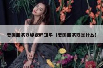 美国服务器稳定吗知乎（美国服务器是什么）
