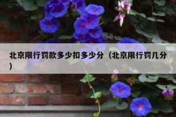 北京限行罚款多少扣多少分（北京限行罚几分）