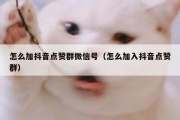 怎么加抖音点赞群微信号（怎么加入抖音点赞群）