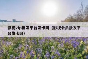 影视vip批发平台发卡网（影视会员批发平台发卡网）