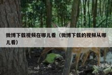 微博下载视频在哪儿看（微博下载的视频从哪儿看）
