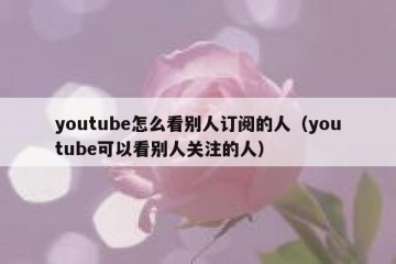 youtube怎么看别人订阅的人（youtube可以看别人关注的人）