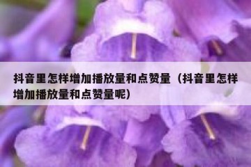 抖音里怎样增加播放量和点赞量（抖音里怎样增加播放量和点赞量呢）