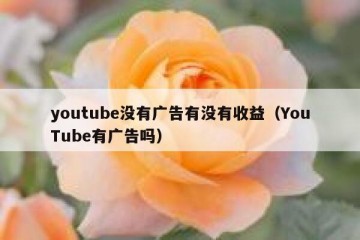 youtube没有广告有没有收益（YouTube有广告吗）