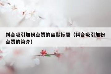 抖音吸引加粉点赞的幽默标题（抖音吸引加粉点赞的简介）