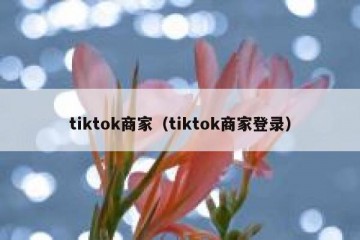tiktok商家（tiktok商家登录）