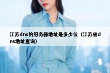 江苏dns的服务器地址是多少位（江苏省dns地址查询）