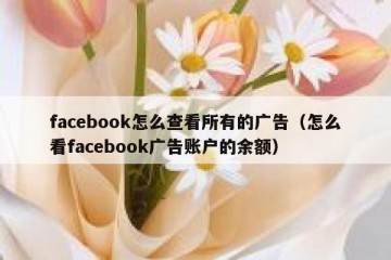facebook怎么查看所有的广告（怎么看facebook广告账户的余额）