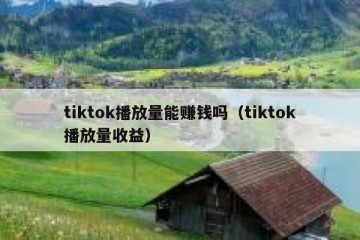 tiktok播放量能赚钱吗（tiktok播放量收益）