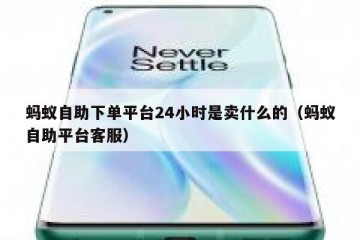 蚂蚁自助下单平台24小时是卖什么的（蚂蚁自助平台客服）
