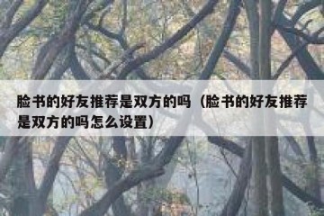 脸书的好友推荐是双方的吗（脸书的好友推荐是双方的吗怎么设置）