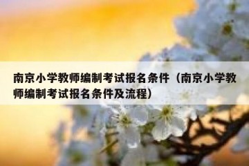 南京小学教师编制考试报名条件（南京小学教师编制考试报名条件及流程）
